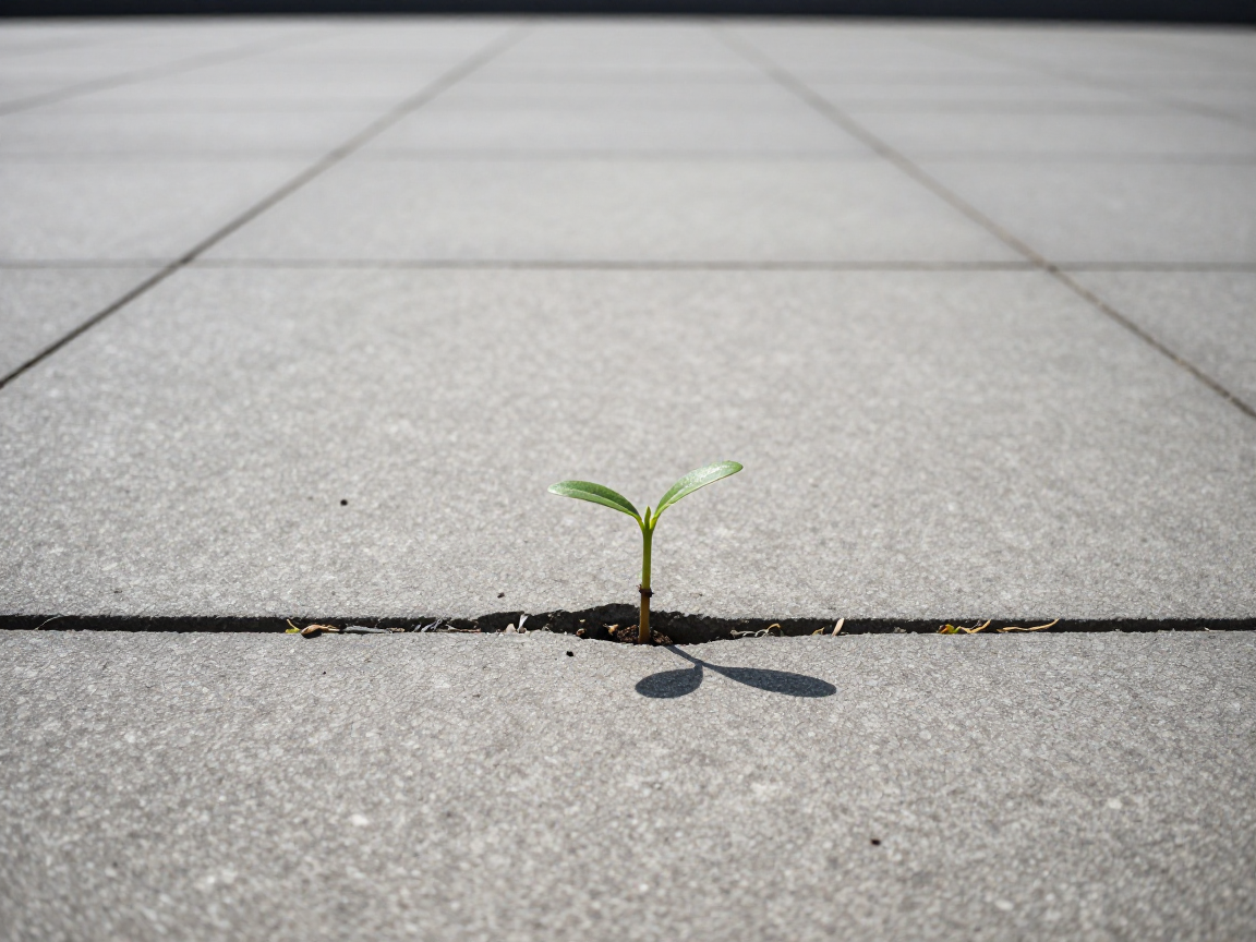 Why the Purpose of Existence Is Not a Destination But a Creative Act