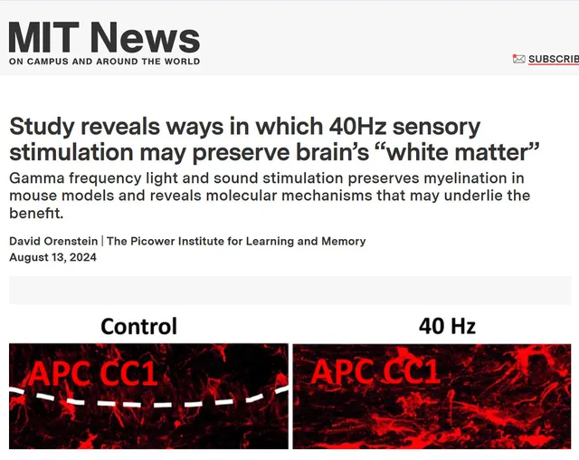MIT News coverage of 40 Hz sensory stimulation research