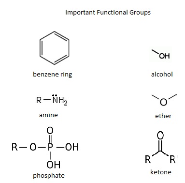 6. Functional ⁤Strength Training: Building Power for Real-life Movement